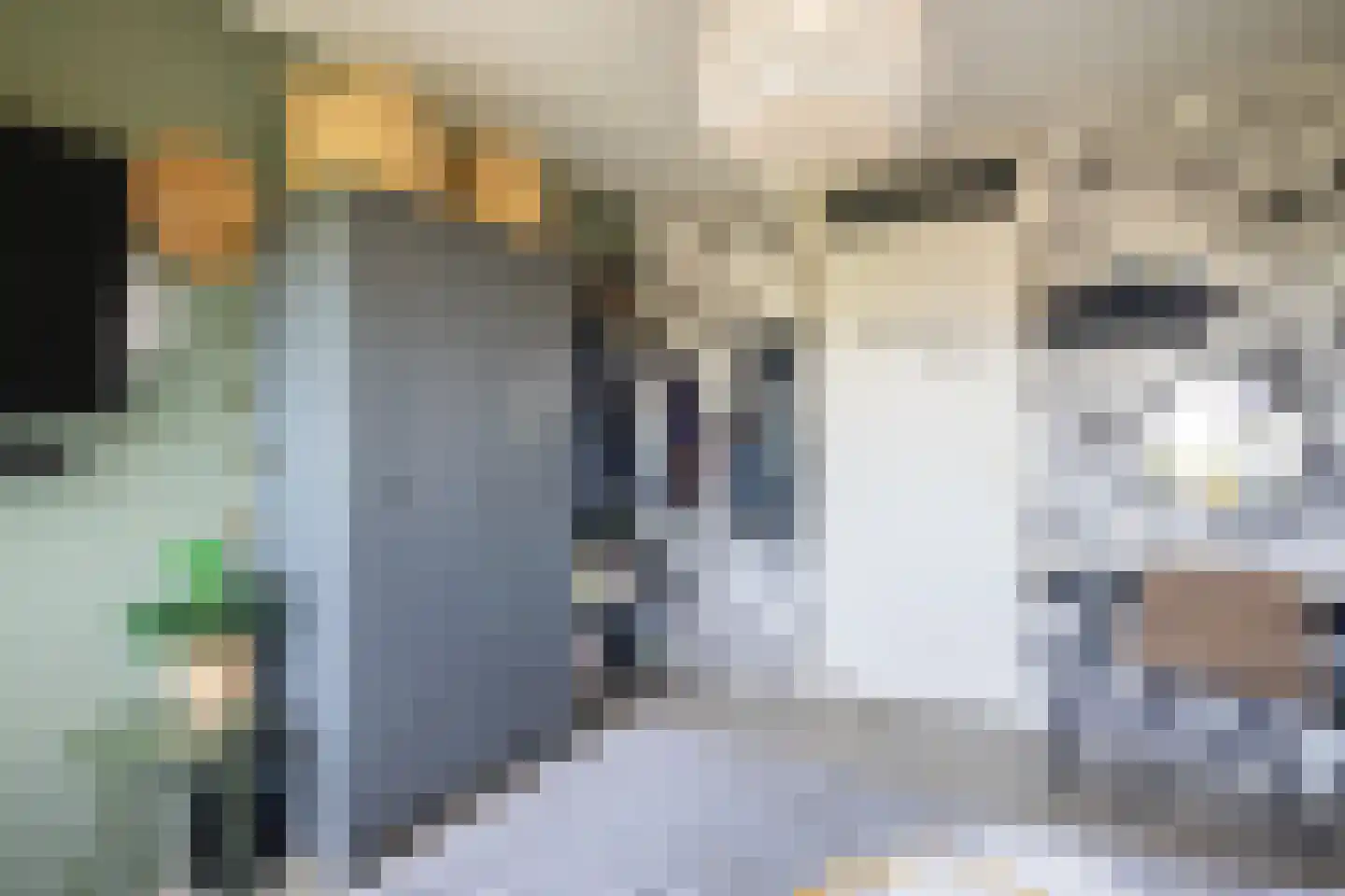 Torenmolenlaan 97 Lochem thumbnail 36