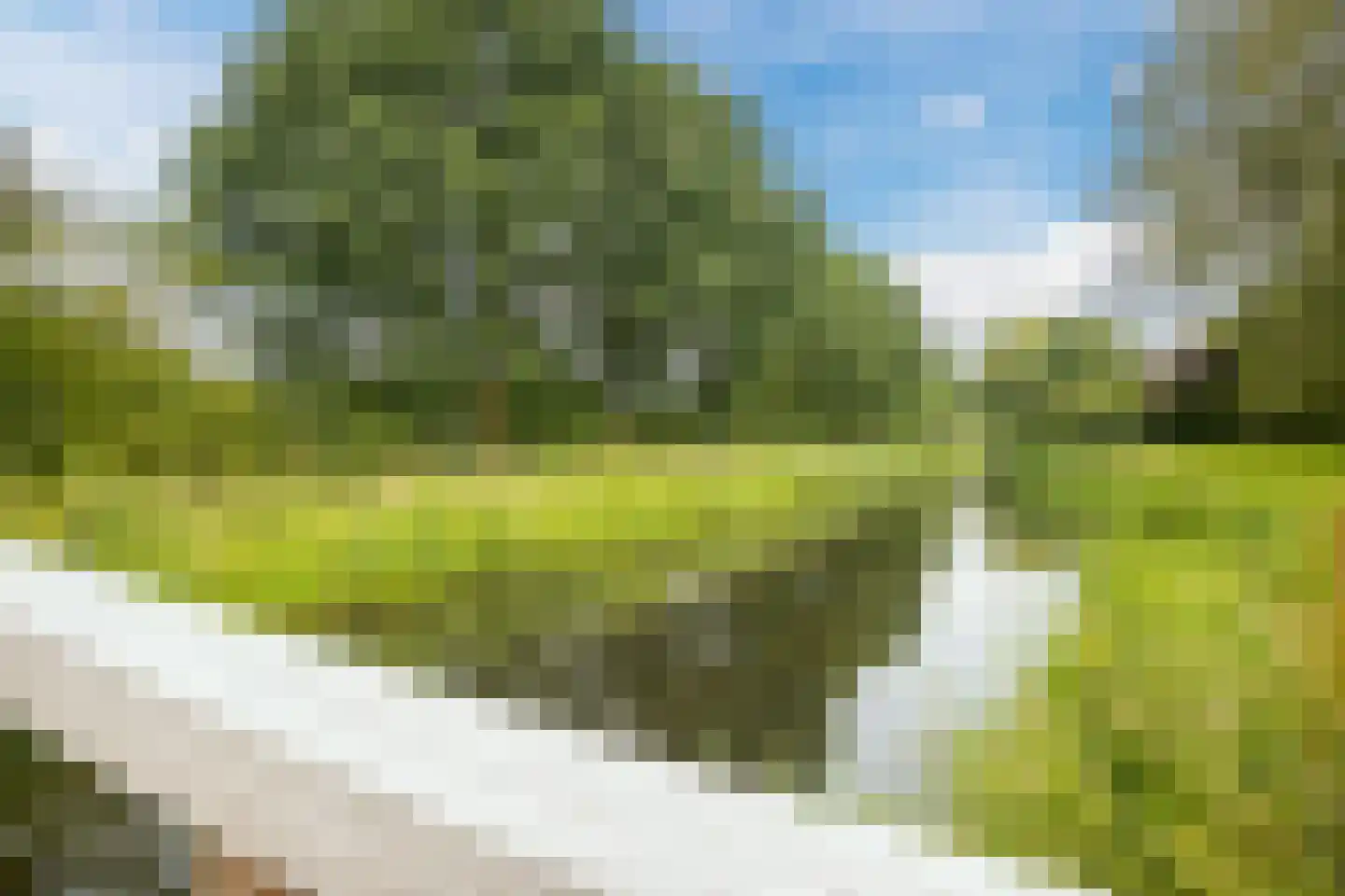 Torenmolenlaan 97 Lochem thumbnail 53