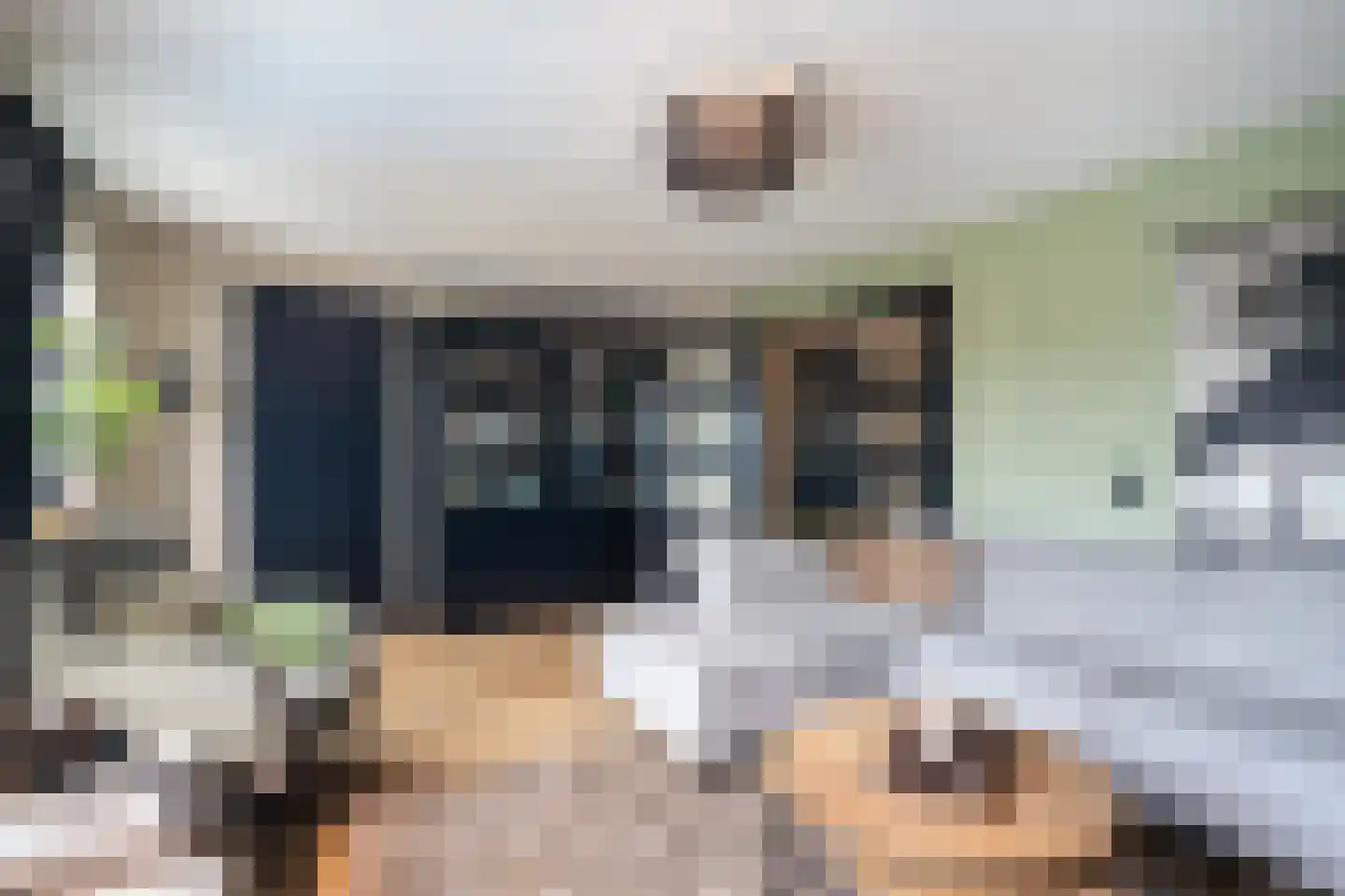 Torenmolenlaan 97 Lochem thumbnail 6