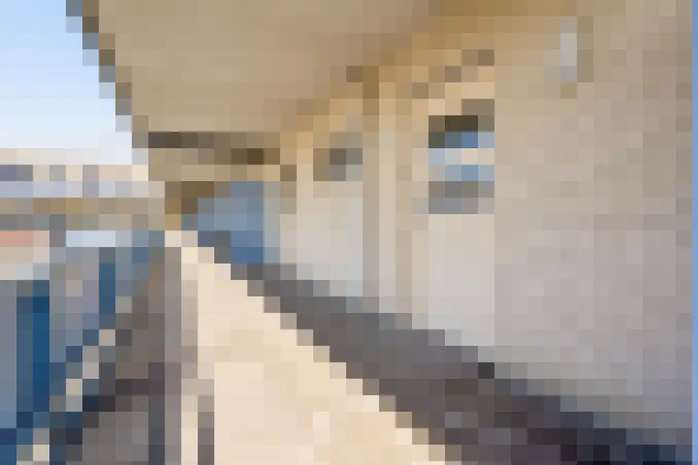 Torenmuur 29 Houten thumbnail 7