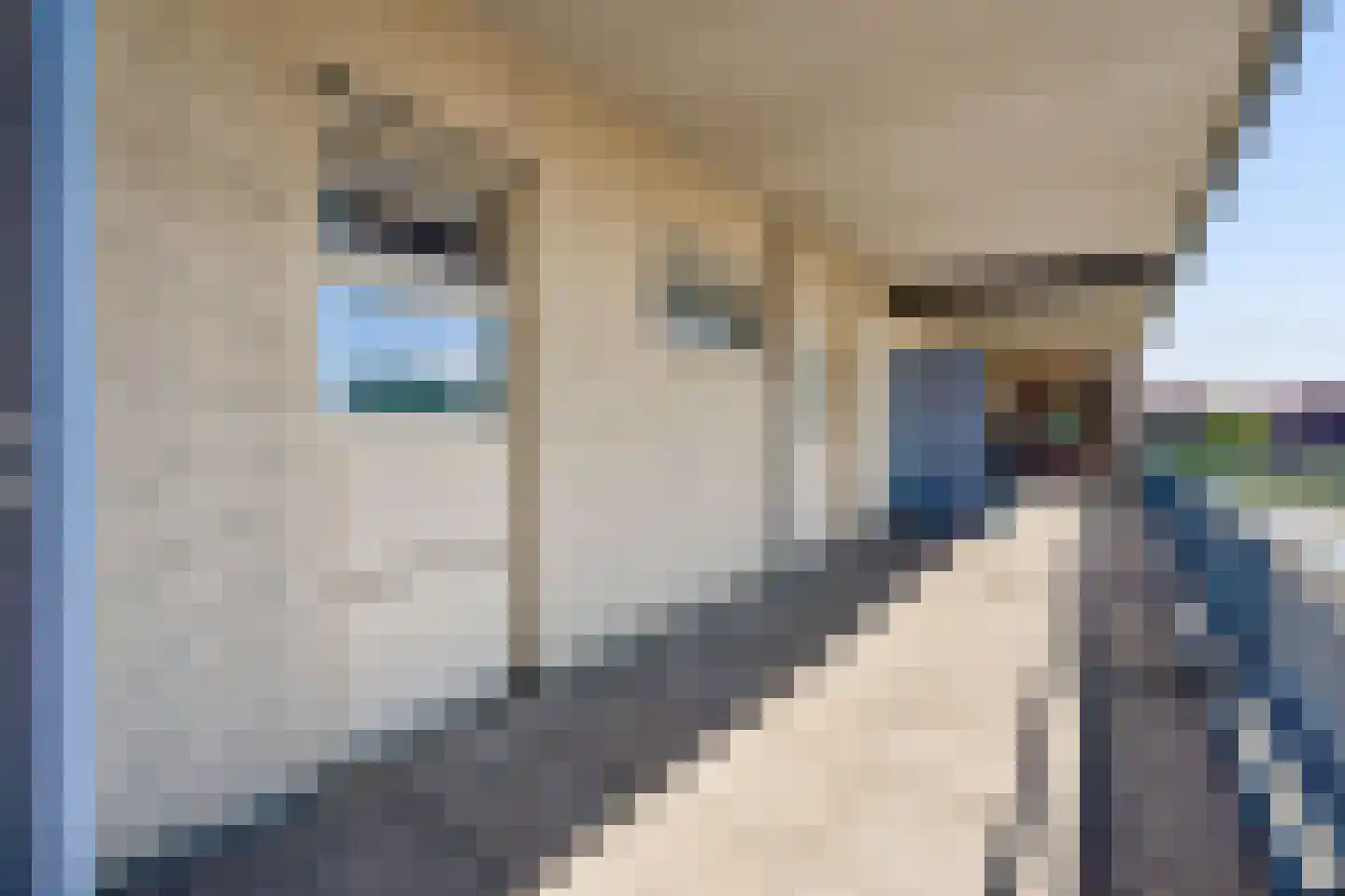 Torenmuur 29 Houten thumbnail 9