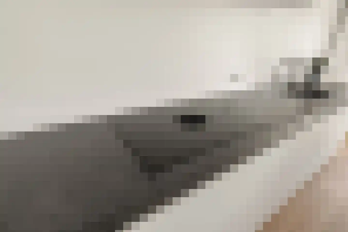 Torenmuur 3 Houten thumbnail 13