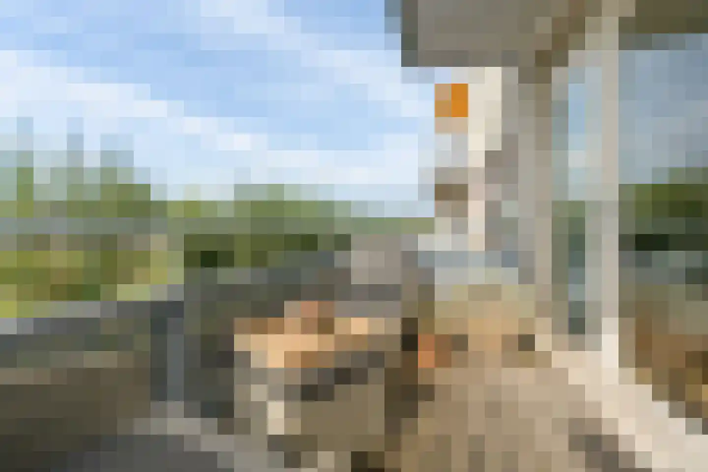 Torenmuur 3 Houten thumbnail 16