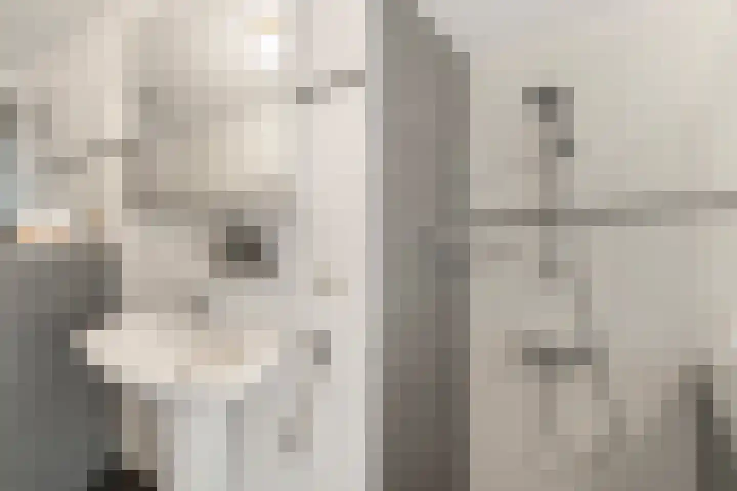 Torenmuur 3 Houten thumbnail 22