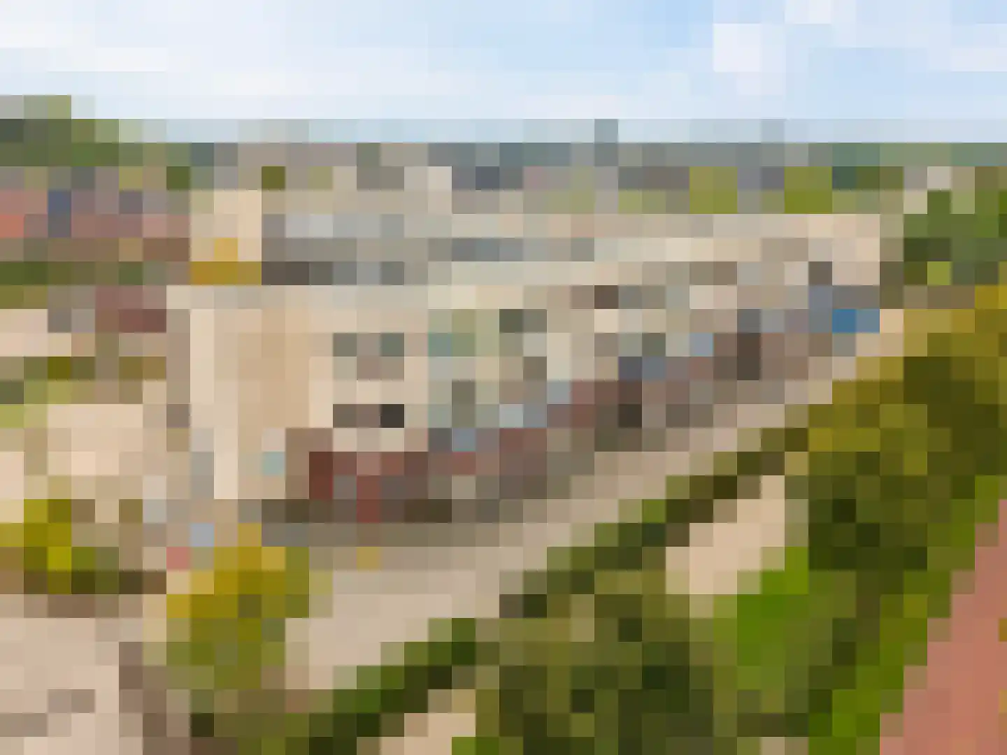 Torenmuur 31 Houten