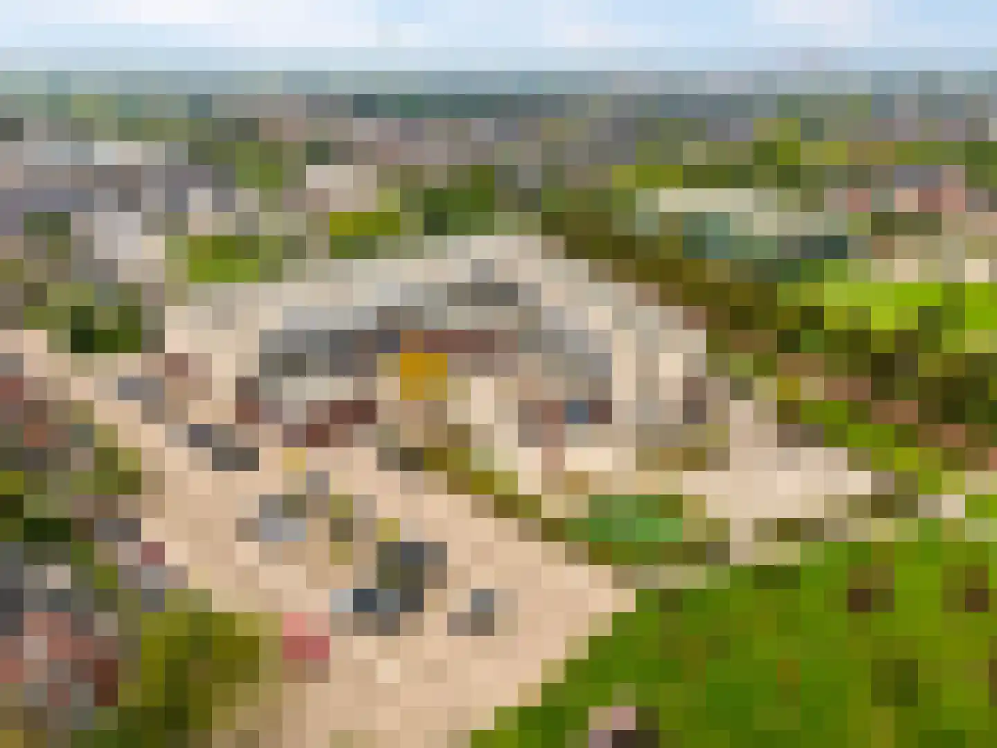 Torenmuur 31 Houten thumbnail 30