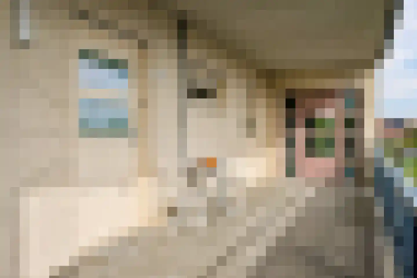 Torenmuur 31 Houten thumbnail 7