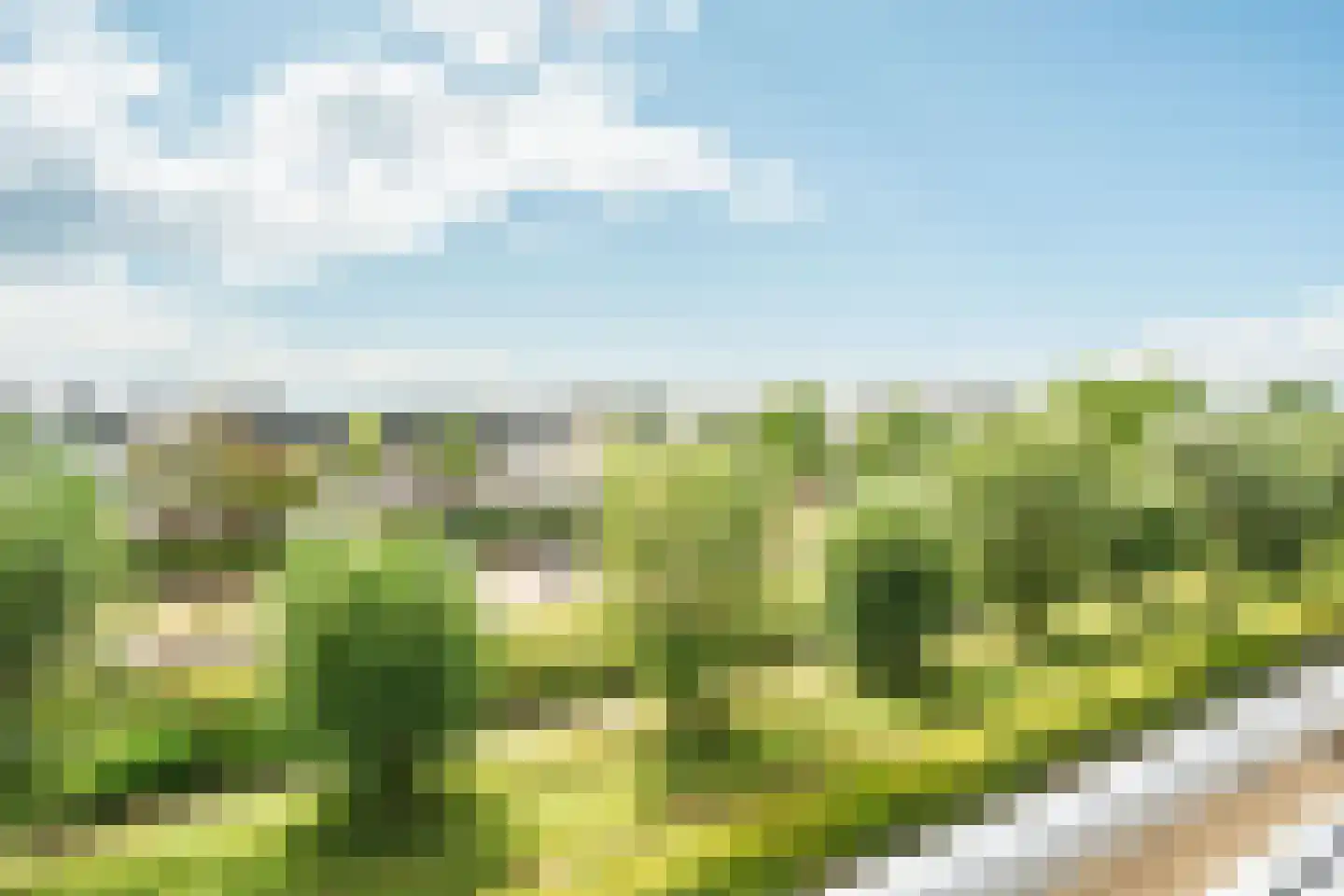 Torenmuur 33 Houten thumbnail 21