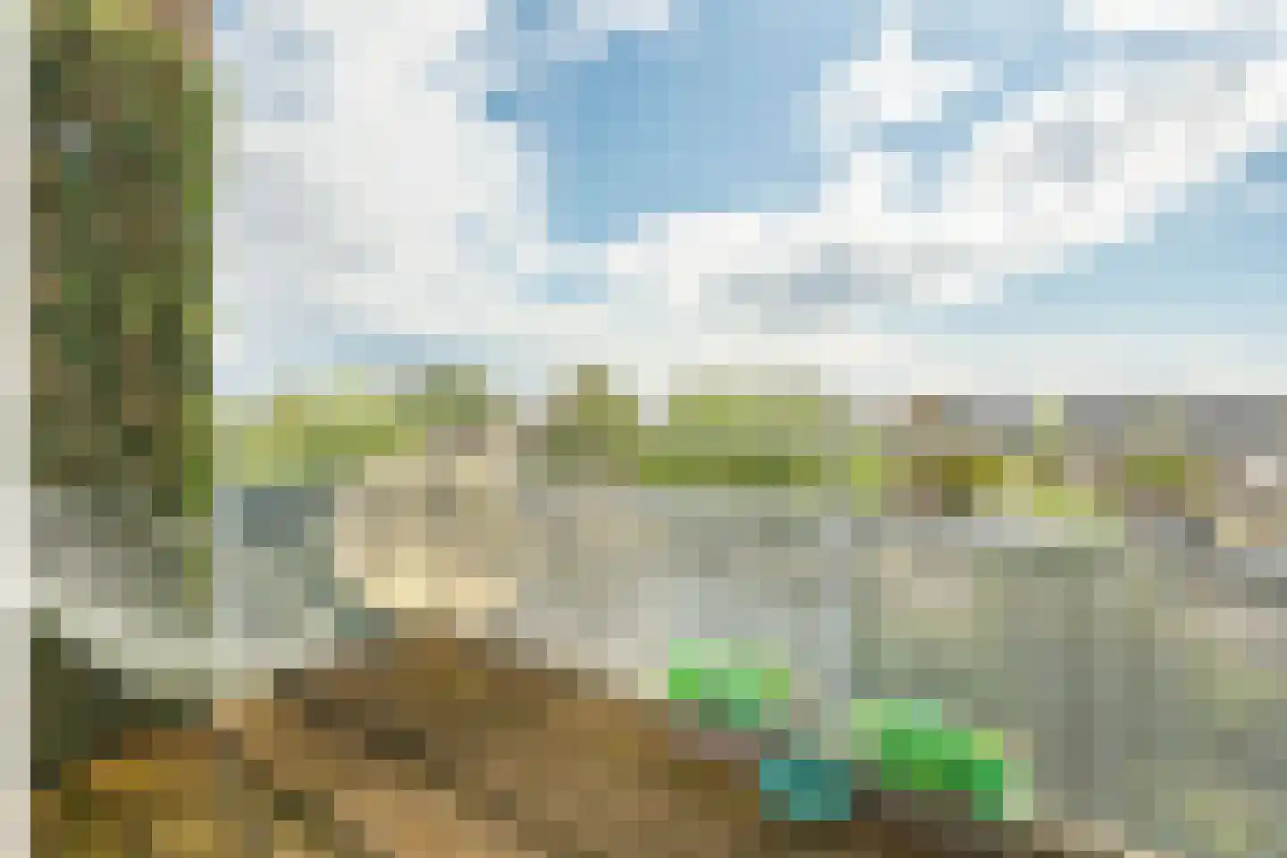 Torenmuur 33 Houten thumbnail 4