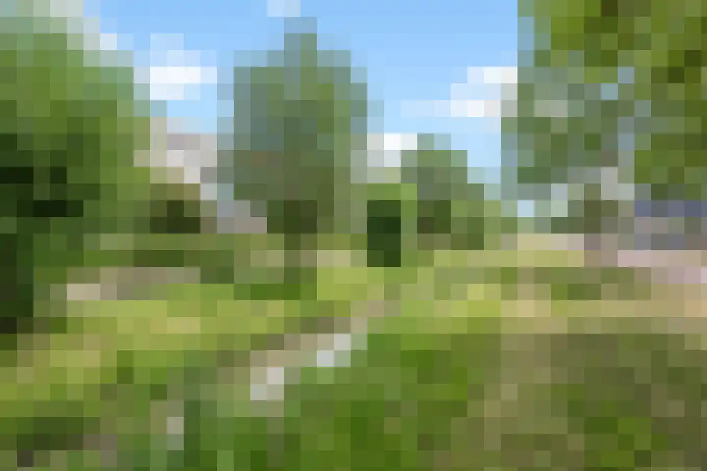 Torenmuur 45 Houten thumbnail 25