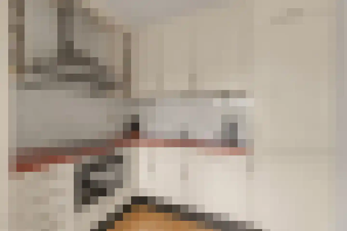 Torenmuur 5 Houten thumbnail 15