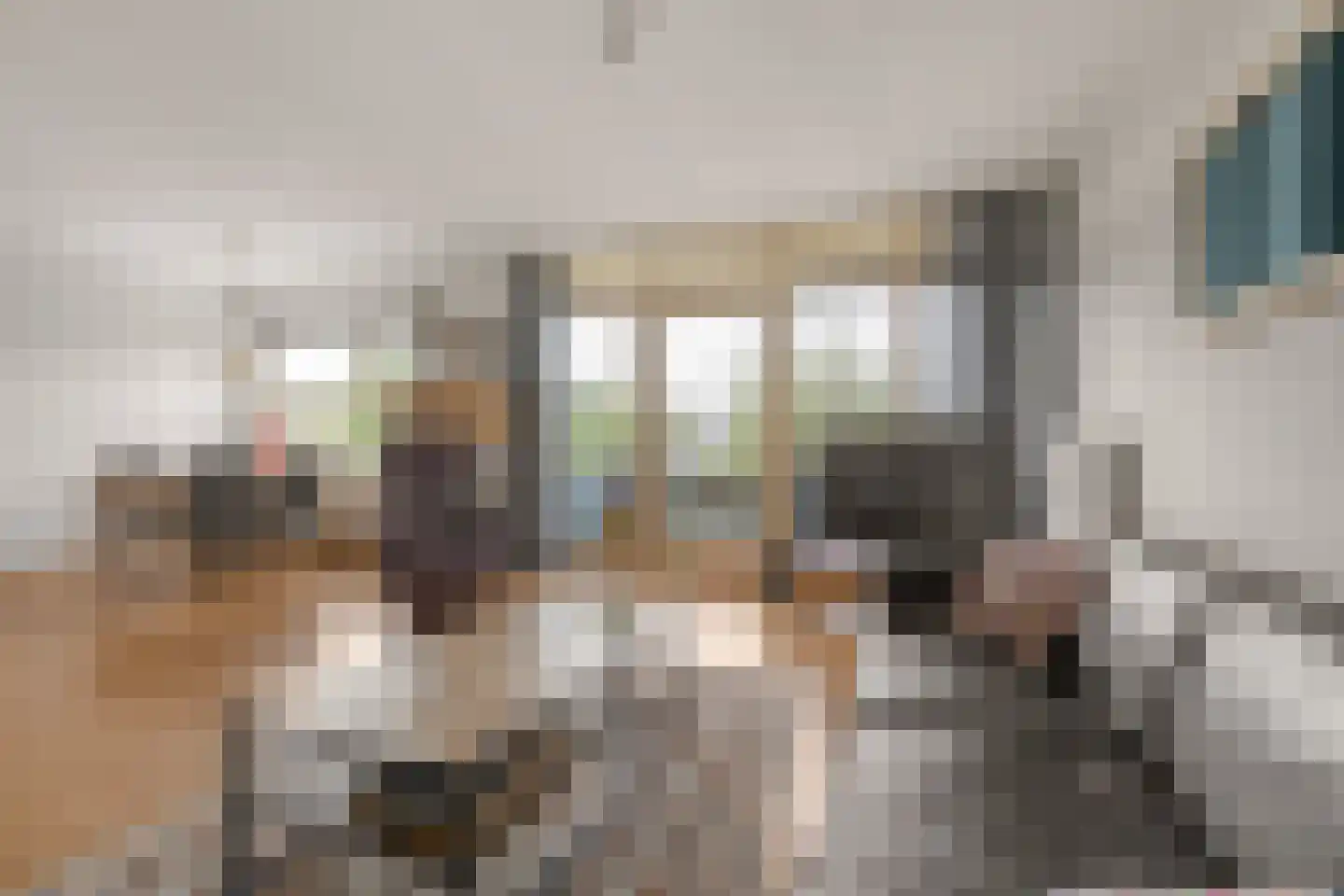 Torenmuur 5 Houten thumbnail 9