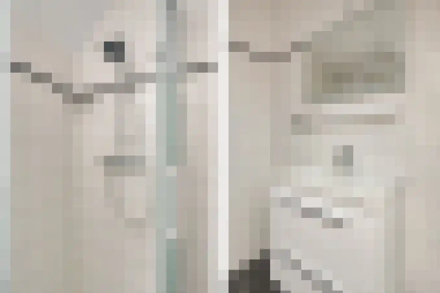 Torenpad 100 Boskoop thumbnail 13