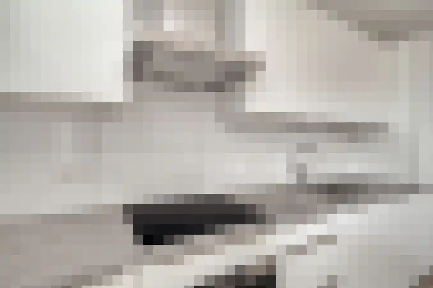 Torenpad 100 Boskoop thumbnail 8