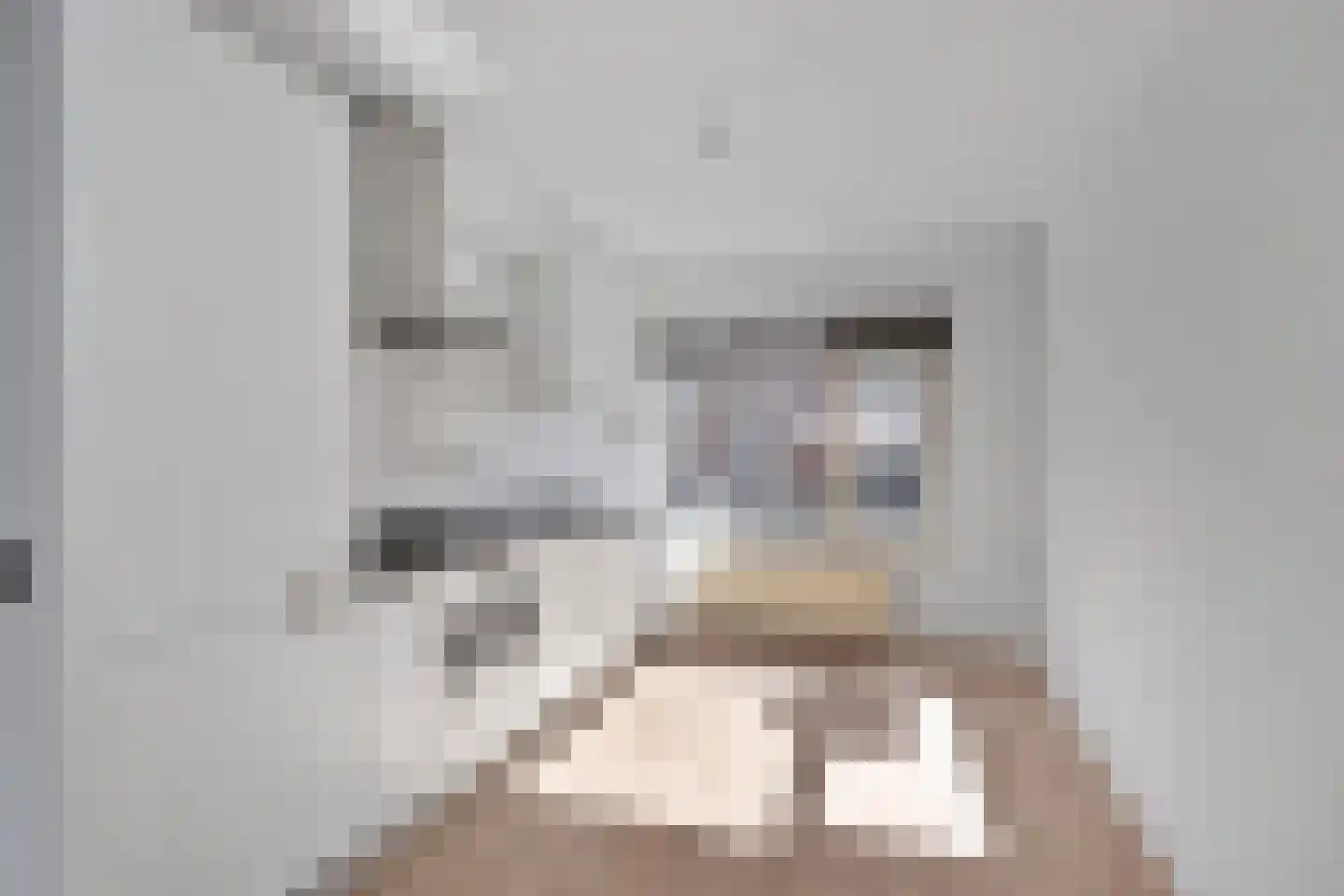 Torenpad 52 Boskoop thumbnail 4