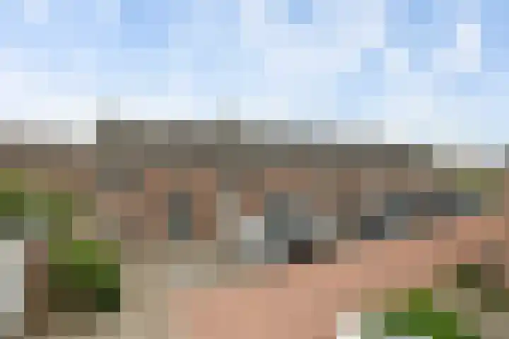 Torenpad 78 Boskoop