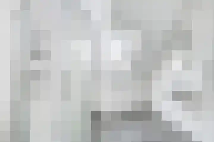 Torenpad 78 Boskoop thumbnail 12