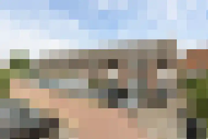 Torenpad 78 Boskoop thumbnail 13