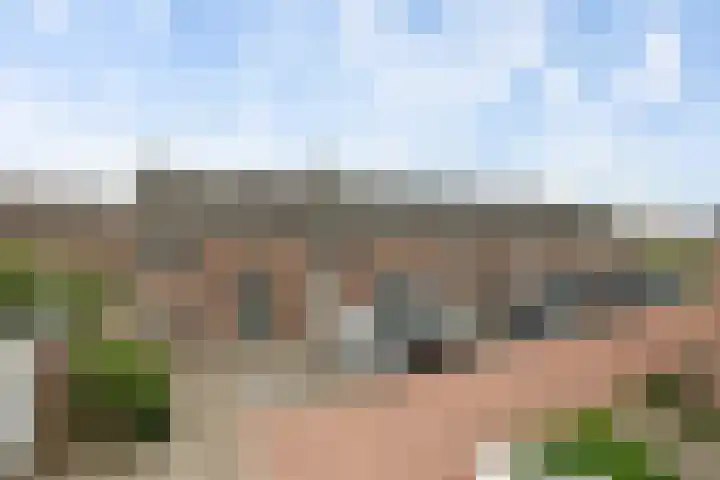Torenpad 78 Boskoop thumbnail 18