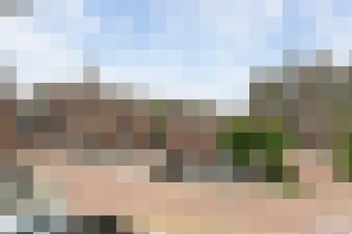 Torenpad 78 Boskoop thumbnail 4