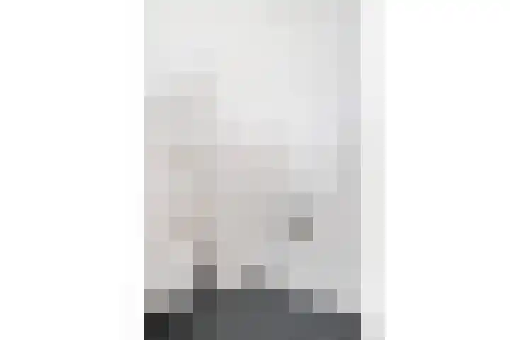 Torenpad 78 Boskoop thumbnail 7