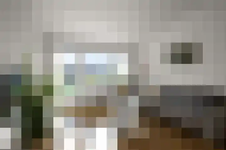 Torenplein 14 Wormer thumbnail 12