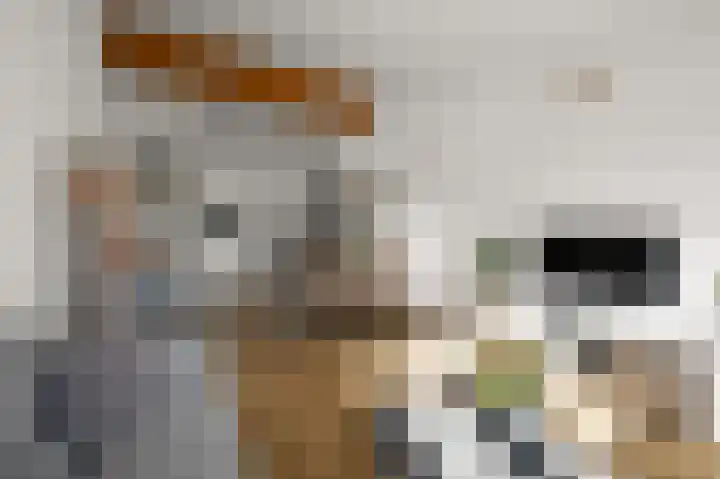 Torenplein 14 Wormer thumbnail 13