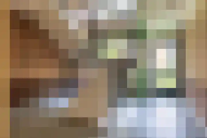 Torenplein 15 Wormer thumbnail 25