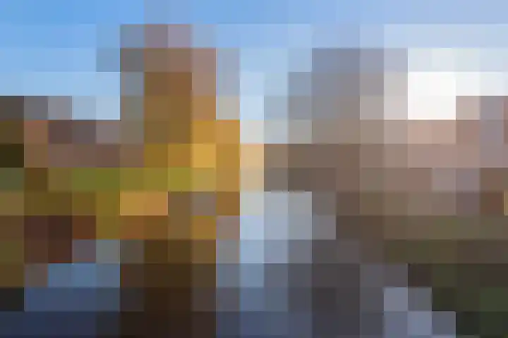 Torenplein 15 Wormer thumbnail 26