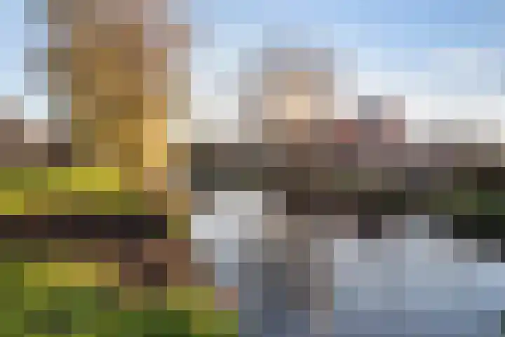 Torenplein 15 Wormer thumbnail 27