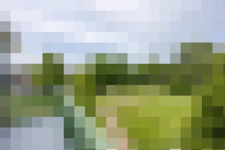 Torenplein 15 Wormer thumbnail 4