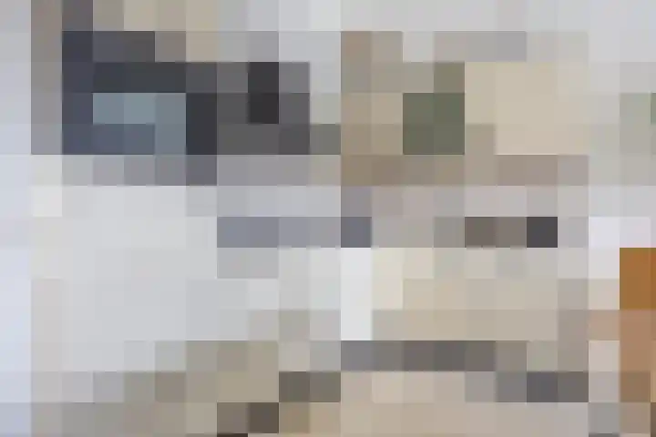Torenplein 15 Wormer thumbnail 5