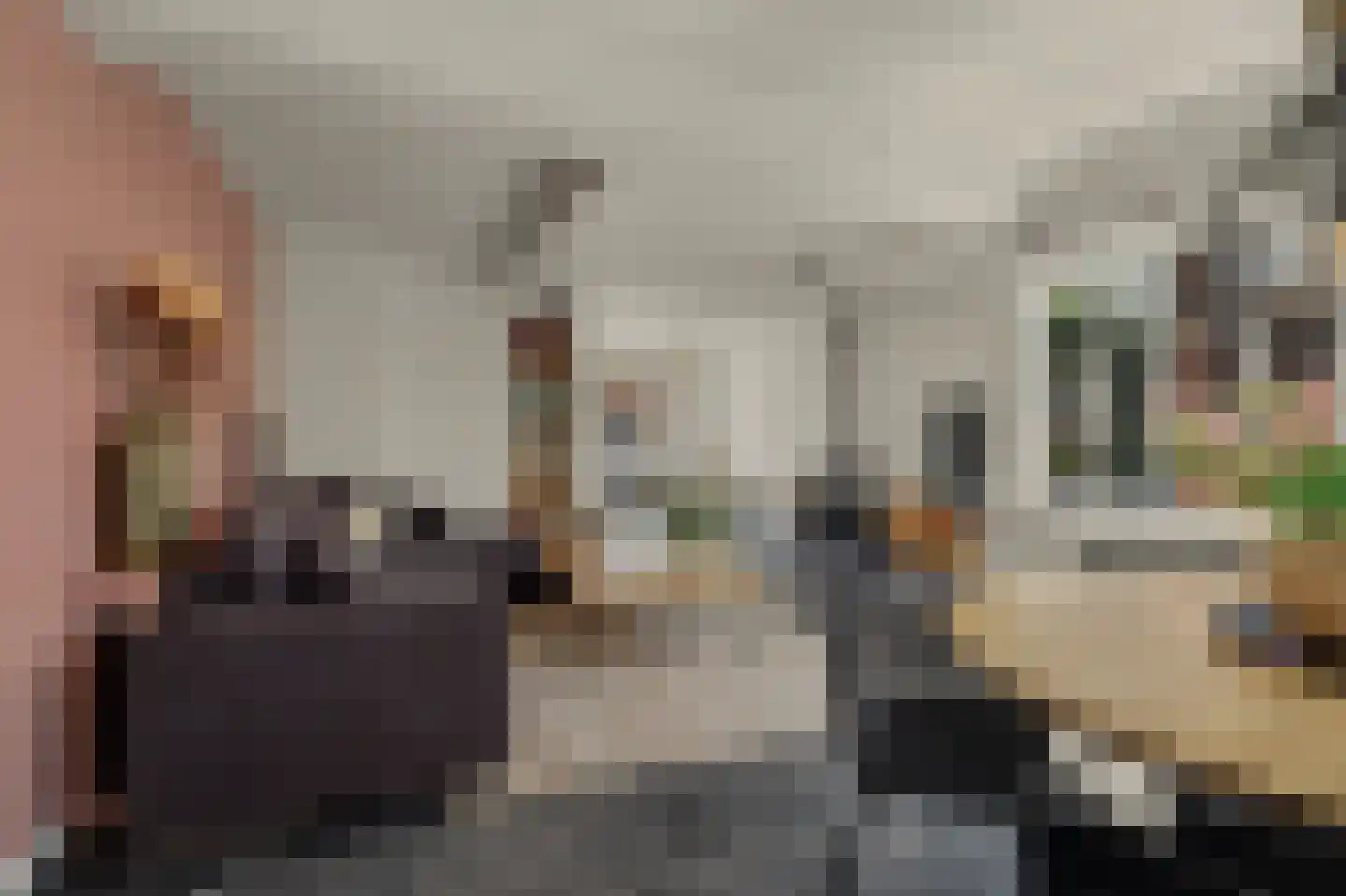 Torenplein 18 Oosterland thumbnail 12