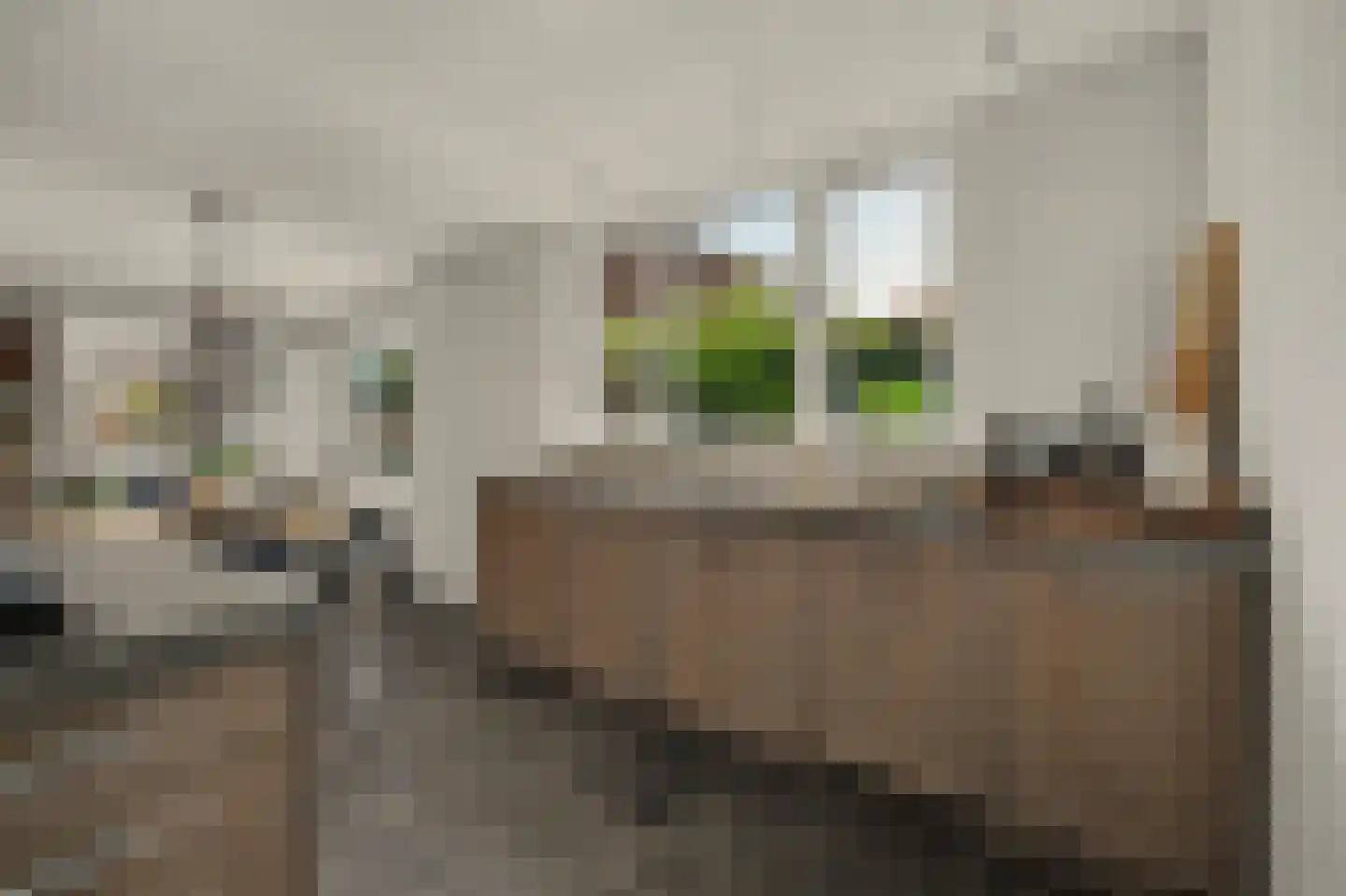 Torenplein 18 Oosterland thumbnail 14