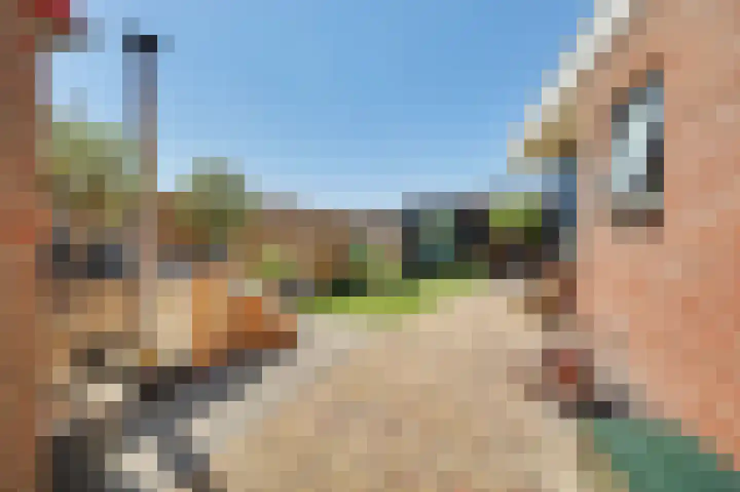 Torenplein 18 Oosterland thumbnail 33