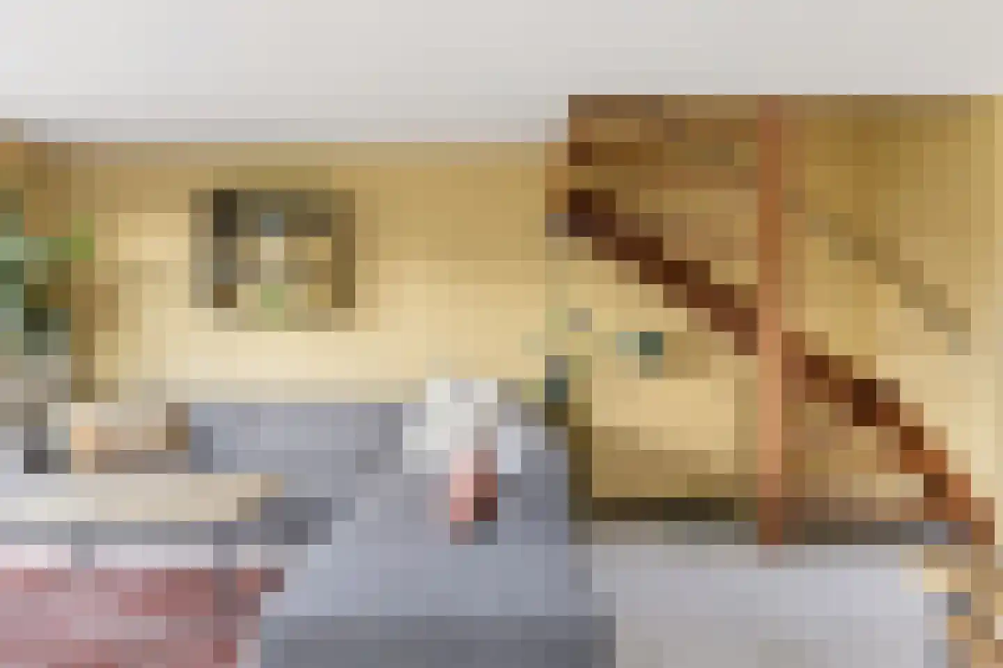 Torenplein 2 Wormer thumbnail 10