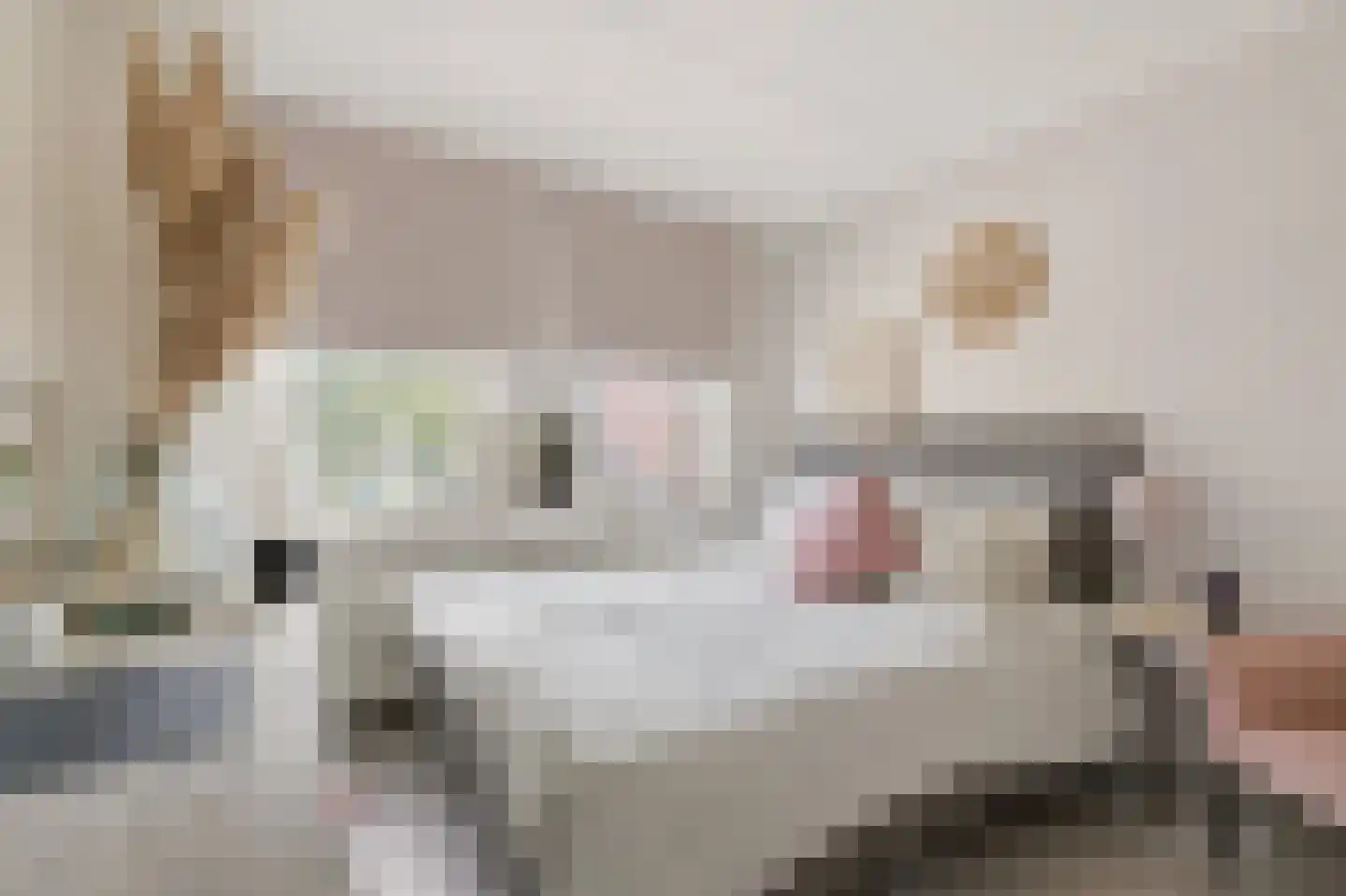 Torenplein 2 Wormer thumbnail 34