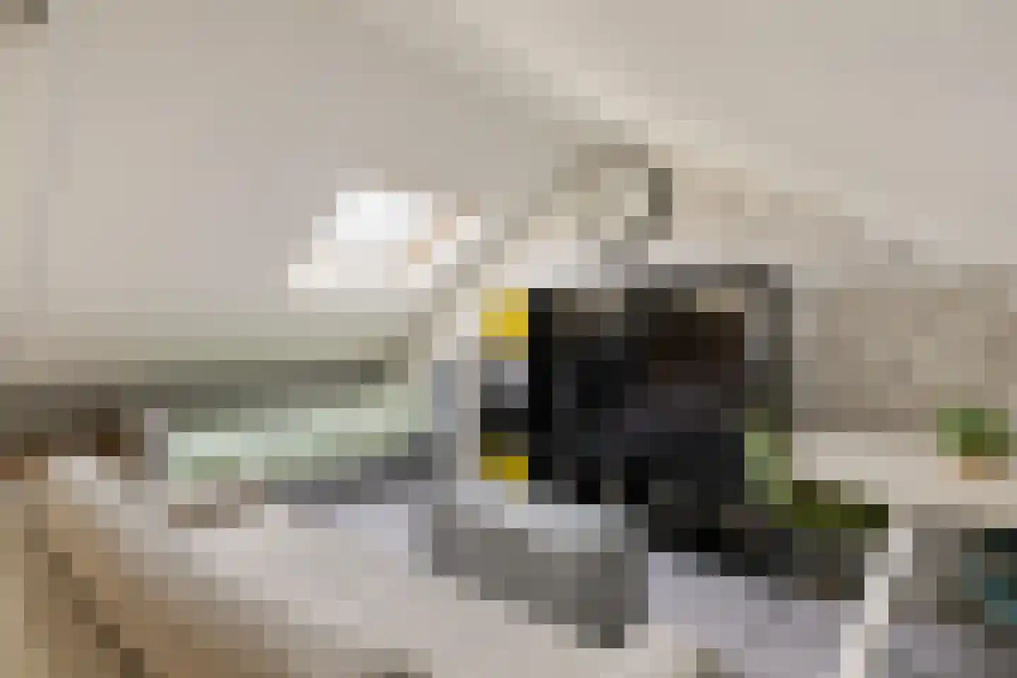 Torenplein 2 Wormer thumbnail 40
