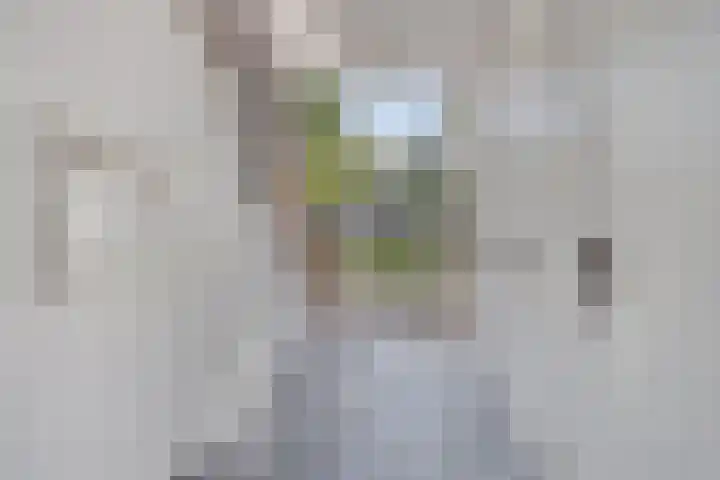 Torenplein 5 Leende thumbnail 5