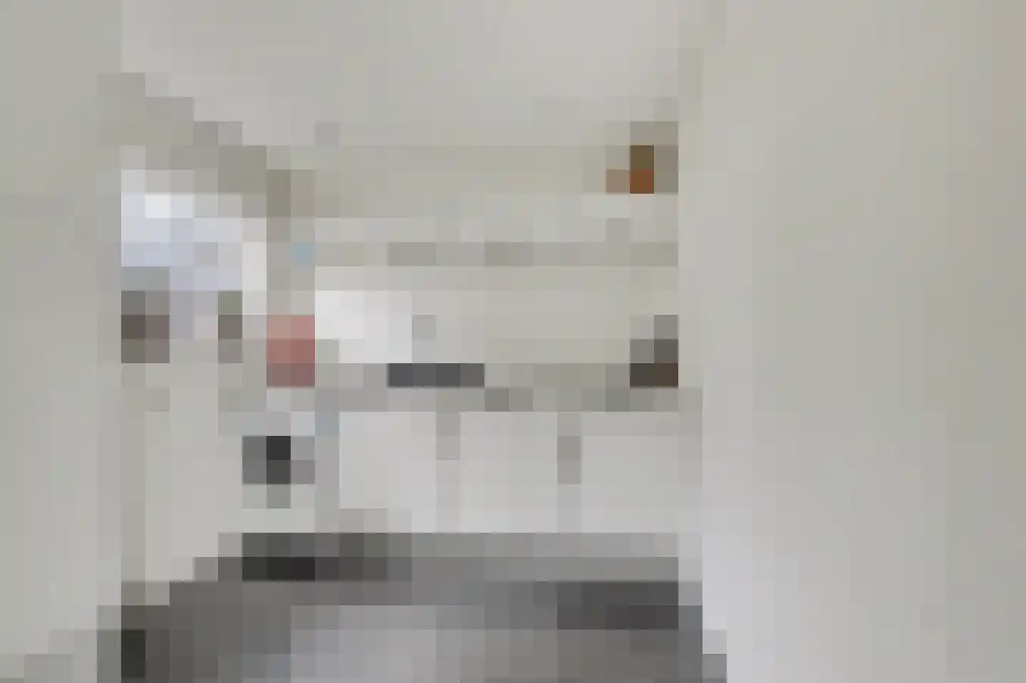 Torenring 44 's-Heer Arendskerke thumbnail 13