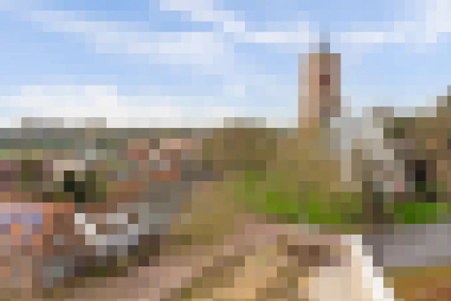 Torenring 44 's-Heer Arendskerke thumbnail 30