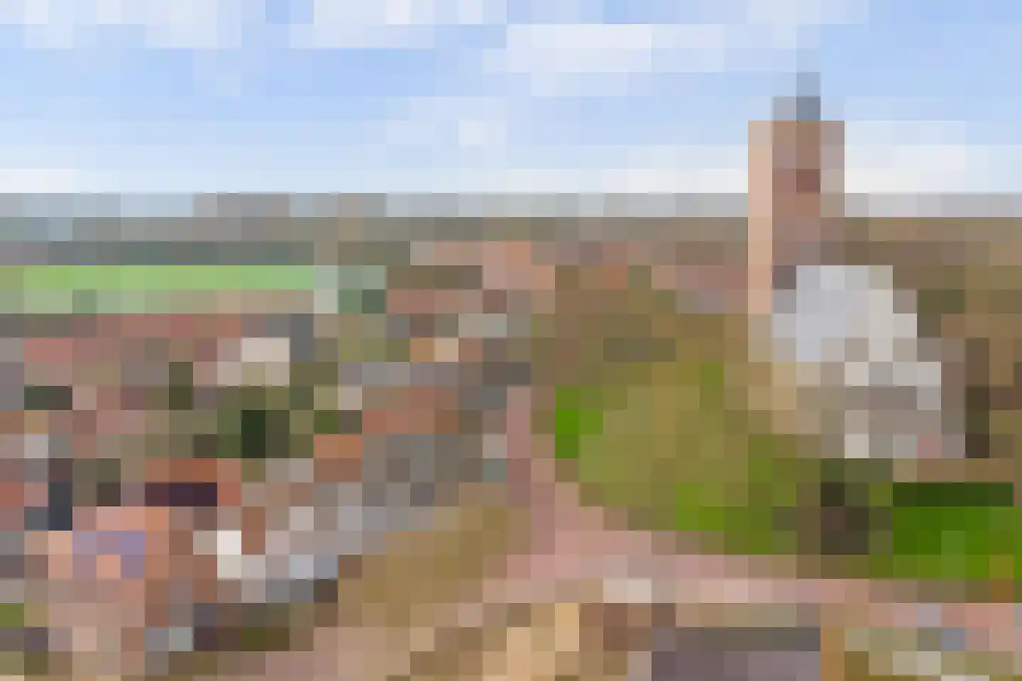 Torenring 44 's-Heer Arendskerke thumbnail 31