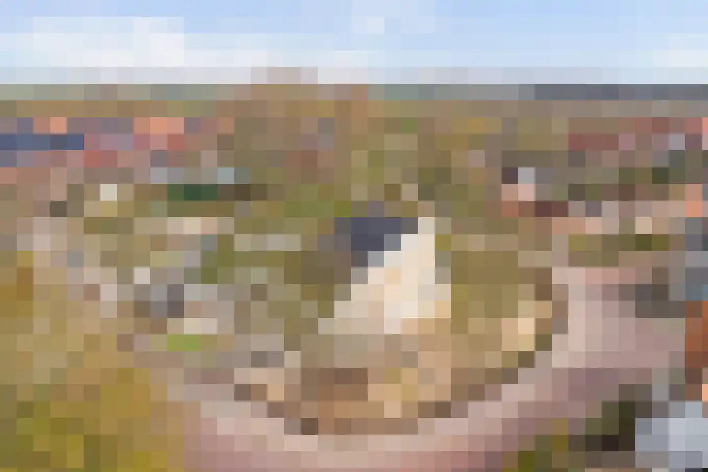 Torenring 44 's-Heer Arendskerke thumbnail 33