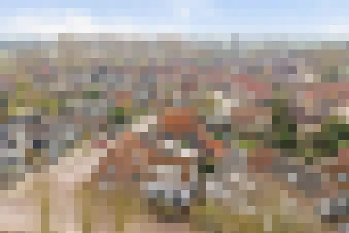 Torenring 44 's-Heer Arendskerke thumbnail 34