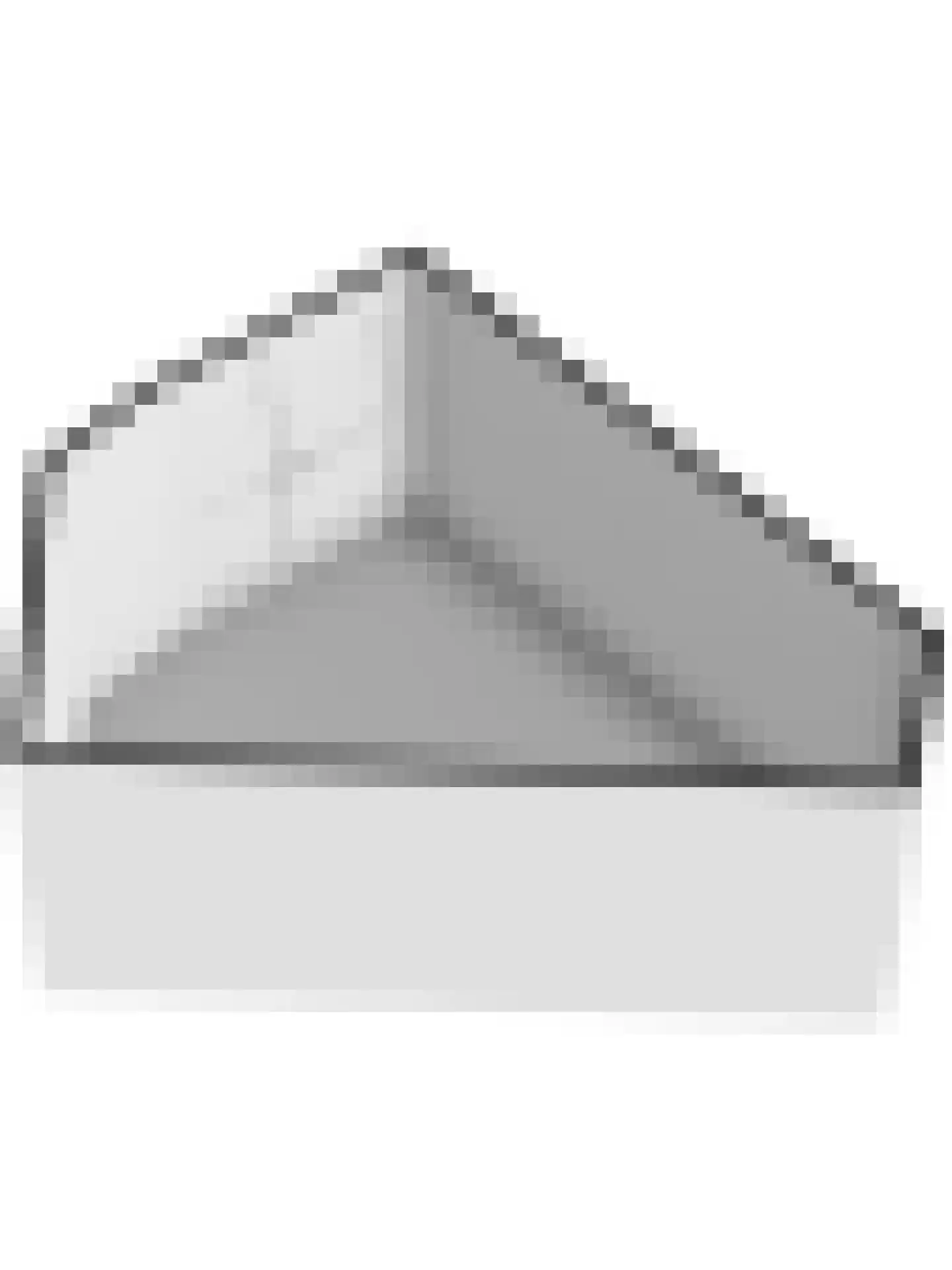 Torenring 44 's-Heer Arendskerke thumbnail 45