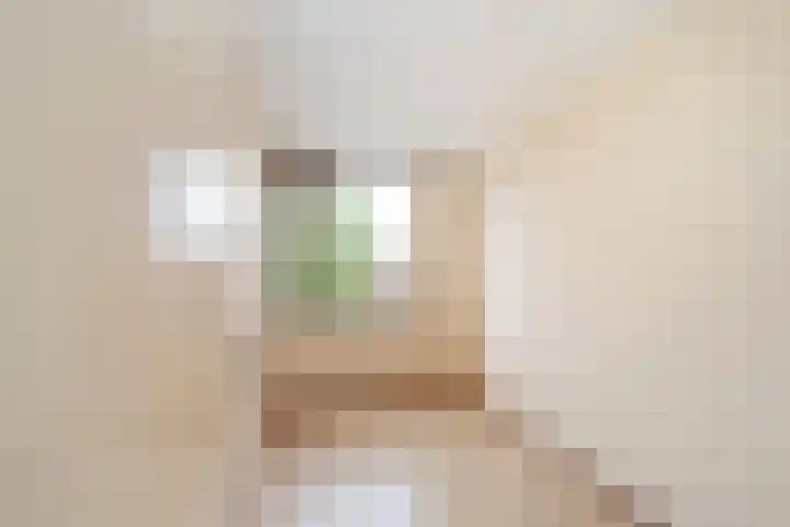 Torensingel 19 Puiflijk thumbnail 15