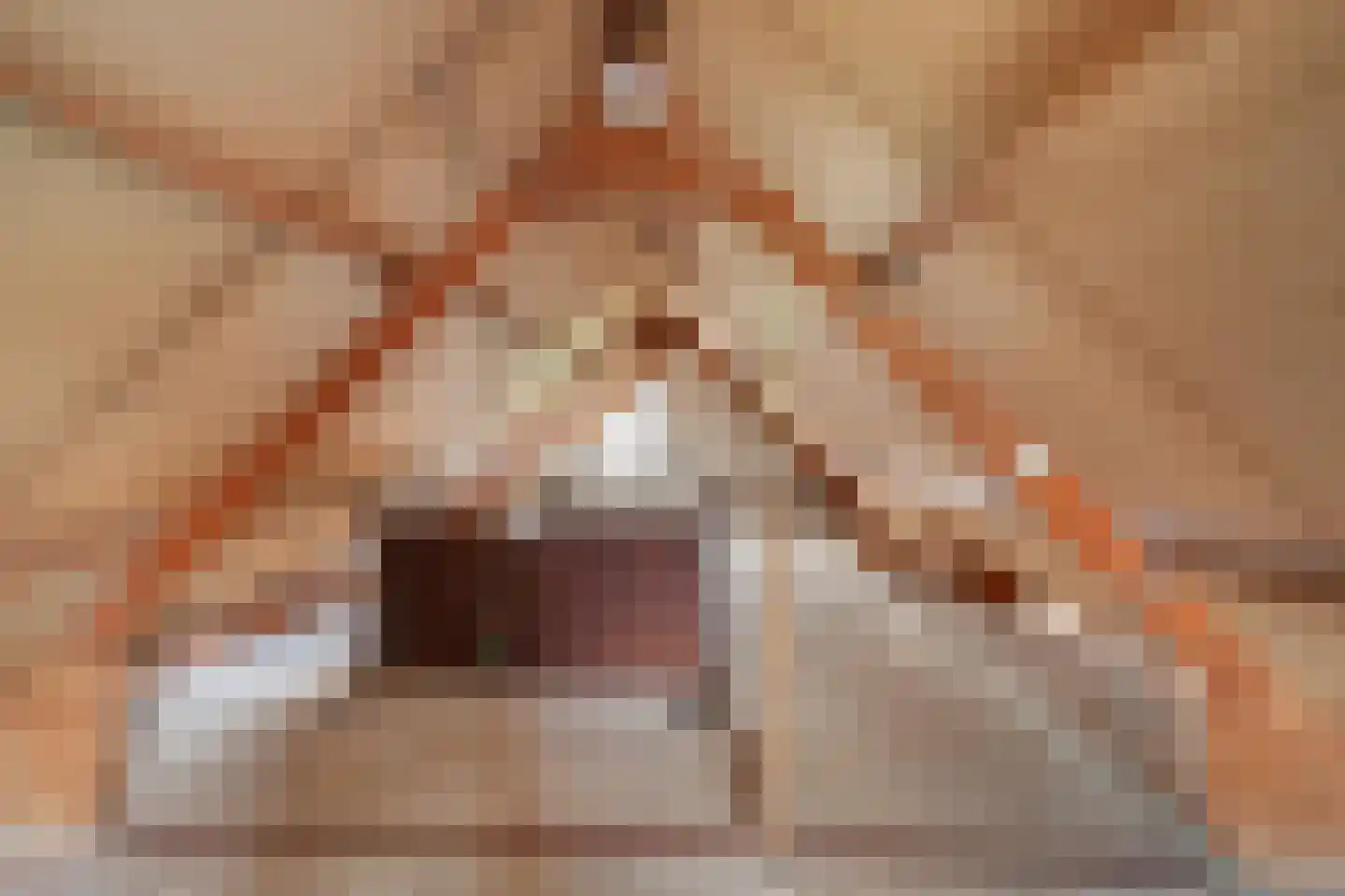 Torensingel 19 Puiflijk thumbnail 19