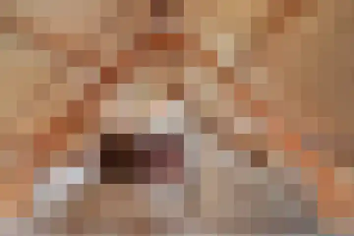 Torensingel 19 Puiflijk thumbnail 20