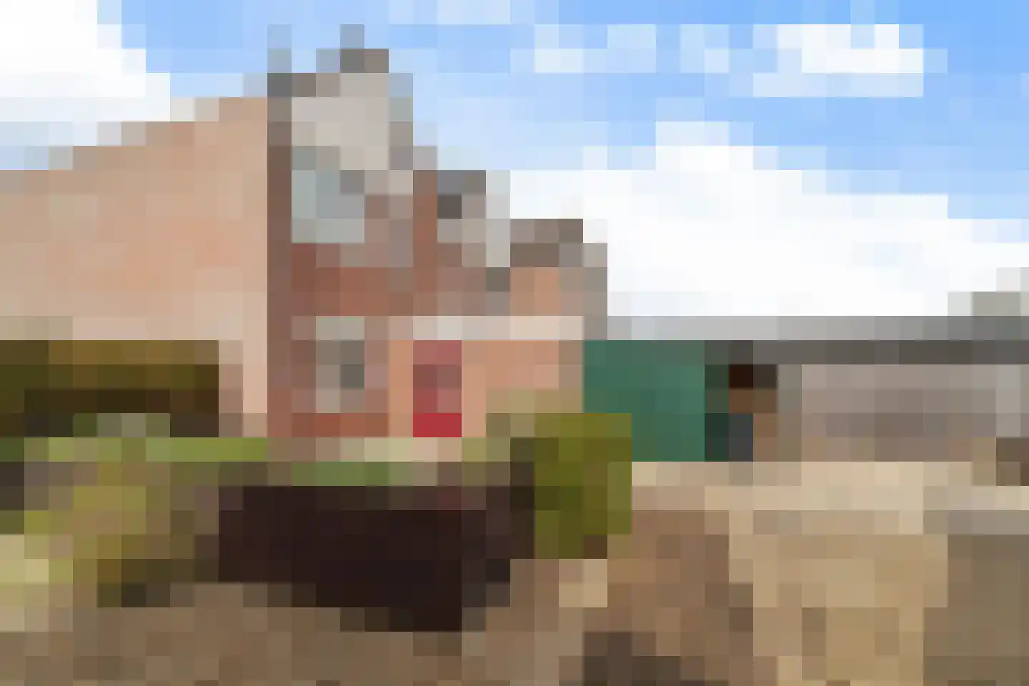 Torensingel 19 Puiflijk thumbnail 20