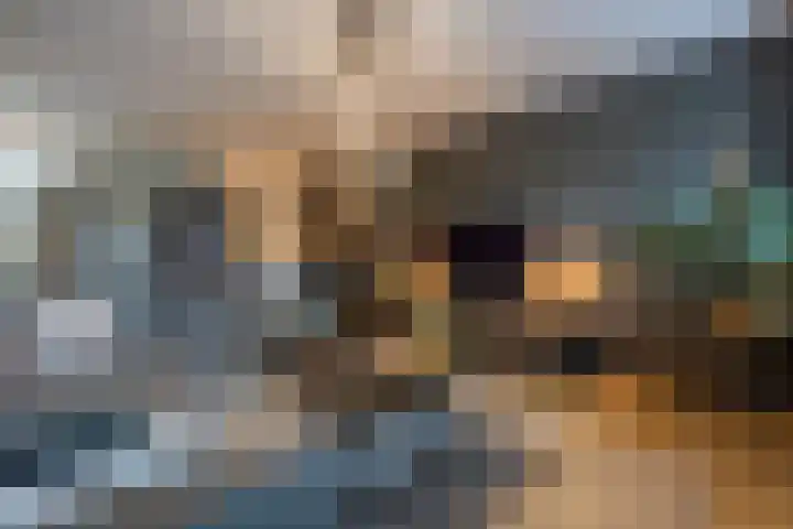Torensingel 3 A Puiflijk thumbnail 10